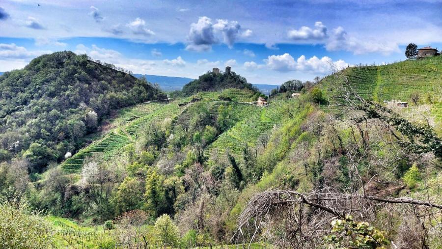 Agriturismo Al Credazzo Farra di Soligo Екстериор снимка